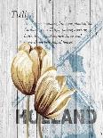 Balanced Breakfast Two-Alicia Soave-Laminated Art Print