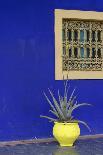 Africa, Morocco, Marrakesh. Cactus in a Bright Yellow Pot Against a Vivid Majorelle Blue Wall-Alida Latham-Photographic Print