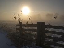 Winter Mood-Alida Van Zaane-Framed Photographic Print