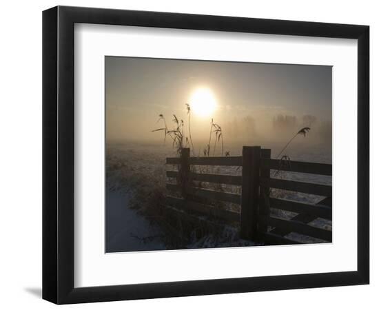 Premium Photographic Print, , large