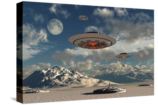 Stretched Canvas Print, , large