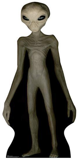 Cardboard Cutouts, , large