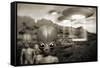 Alien Contact In the 1940s, Artwork-Detlev Van Ravenswaay-Framed Stretched Canvas