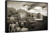 Alien Contact In the 1940s, Artwork-Detlev Van Ravenswaay-Framed Stretched Canvas