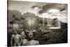 Alien Contact In the 1940s, Artwork-Detlev Van Ravenswaay-Stretched Canvas