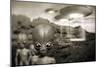 Alien Contact In the 1940s, Artwork-Detlev Van Ravenswaay-Mounted Photographic Print