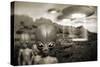 Alien Contact In the 1940s, Artwork-Detlev Van Ravenswaay-Stretched Canvas