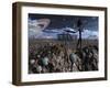 Alien Explorers on an Alien World-Stocktrek Images-Framed Photographic Print