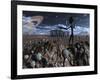 Alien Explorers on an Alien World-Stocktrek Images-Framed Photographic Print