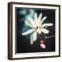 Alien L:ove-Philippe Sainte-Laudy-Framed Photographic Print