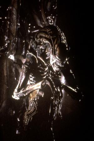 https://imgc.allpostersimages.com/img/posters/alien-le-huitieme-passager-alien-1979-by-ridleyscott-photo_u-L-Q1C2RQ00.jpg?artPerspective=n