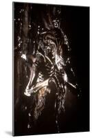 Alien, le huitieme passager (ALIEN), 1979 by RidleyScott (photo)-null-Mounted Photo