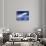 Alien Night Sky-Detlev Van Ravenswaay-Photographic Print displayed on a wall