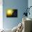 Alien Planet, Artwork-null-Stretched Canvas displayed on a wall