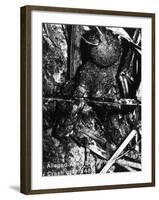 Alien Remains from a UFO Crash Near Aztec-null-Framed Photographic Print
