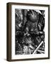 Alien Remains from a UFO Crash Near Aztec-null-Framed Photographic Print