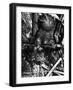 Alien Remains from a UFO Crash Near Aztec-null-Framed Photographic Print