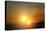 Alien Sunset-null-Stretched Canvas