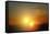 Alien Sunset-null-Framed Stretched Canvas