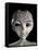 Alien-Roger Harris-Framed Stretched Canvas