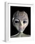 Alien-Roger Harris-Framed Photographic Print