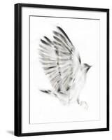 Alight-Kellas Campbell-Framed Giclee Print