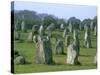 Alignments of Megalithic Standing Stones, Carnac, Morbihan, Brittany, France, Europe-J P De Manne-Stretched Canvas