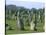 Alignments of Megalithic Standing Stones, Carnac, Morbihan, Brittany, France, Europe-J P De Manne-Stretched Canvas