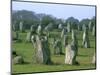 Alignments of Megalithic Standing Stones, Carnac, Morbihan, Brittany, France, Europe-J P De Manne-Mounted Photographic Print