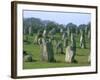 Alignments of Megalithic Standing Stones, Carnac, Morbihan, Brittany, France, Europe-J P De Manne-Framed Photographic Print