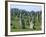 Alignments of Megalithic Standing Stones, Carnac, Morbihan, Brittany, France, Europe-J P De Manne-Framed Photographic Print