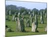 Alignments of Megalithic Standing Stones, Carnac, Morbihan, Brittany, France, Europe-J P De Manne-Mounted Photographic Print