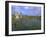 Alignments of Megalithic Standing Stones, Carnac, Morbihan, Brittany, France, Europe-J P De Manne-Framed Photographic Print