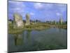 Alignments of Megalithic Standing Stones, Carnac, Morbihan, Brittany, France, Europe-J P De Manne-Mounted Photographic Print