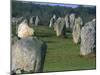 Alignments of Megalithic Standing Stones, Carnac, Morbihan, Brittany, France, Europe-J P De Manne-Mounted Photographic Print