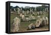 Alignments of Standing Stones-null-Framed Stretched Canvas