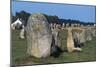 Alignments of Standing Stones-null-Mounted Giclee Print