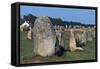 Alignments of Standing Stones-null-Framed Stretched Canvas