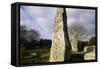 Alignments of Standing Stones-null-Framed Stretched Canvas