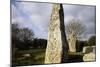 Alignments of Standing Stones-null-Mounted Giclee Print