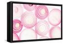 Framed Canvas