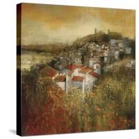 Alioa Fields-Douglas-Stretched Canvas