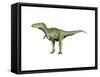 Alioramus Dinosaur-null-Framed Stretched Canvas