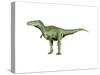 Alioramus Dinosaur-null-Stretched Canvas