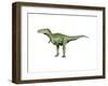 Alioramus Dinosaur-null-Framed Art Print