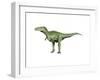 Alioramus Dinosaur-null-Framed Art Print