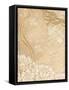 Framed Canvas