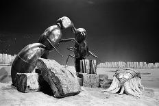 Dr Who, the Web Planet, 1965-Alisdair Macdonald-Photographic Print