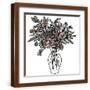 Brown Frame