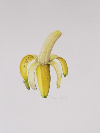 A Half-Peeled Banana, 1997